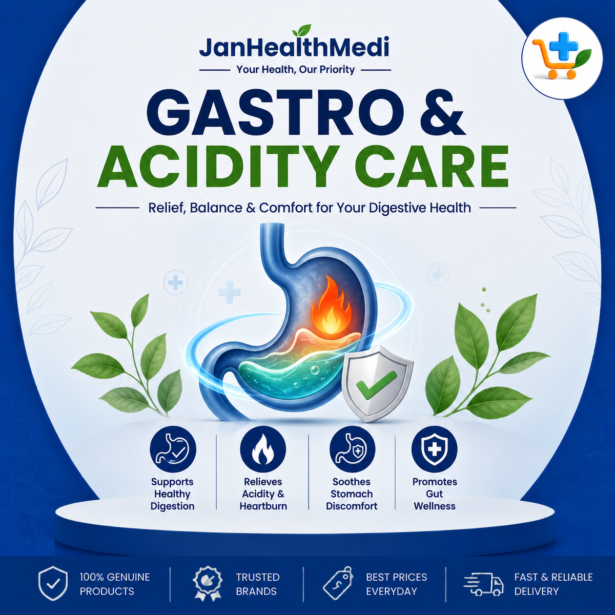 Gastro & Acidity Care