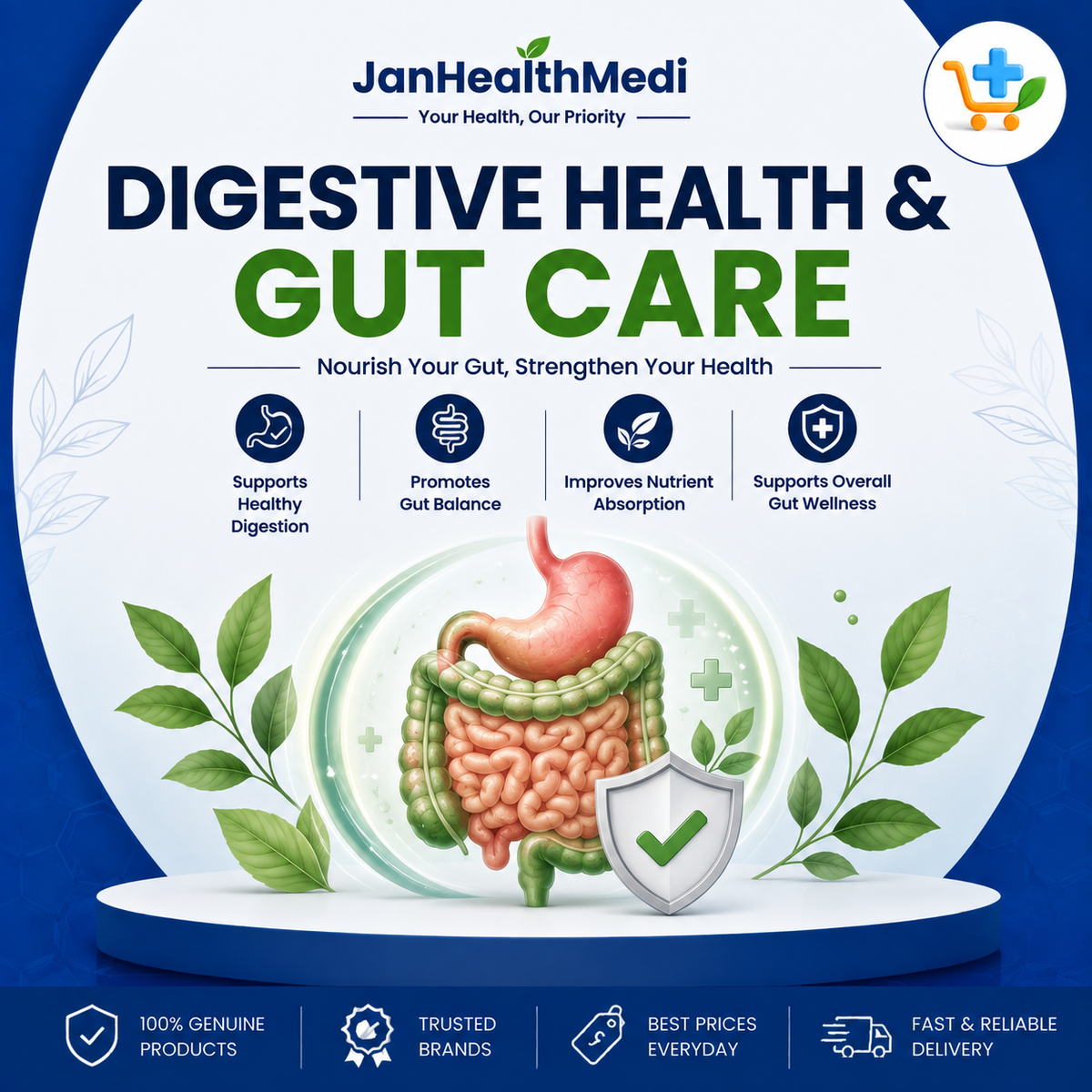 Digestive Health & Gut Care